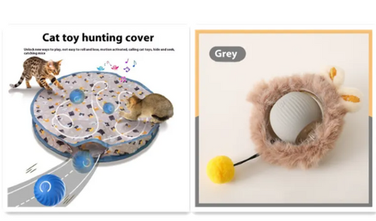PurrPlay Self-Rolling Cat Toy Ball – The Cat Toy Taking the World by Storm